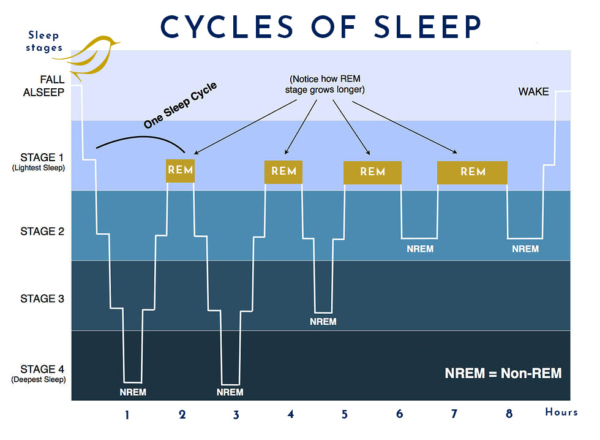 The approximate structure of sleep